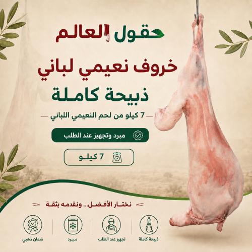 Naimi Lebanese sheep, weight 7 kg - full sacrifice