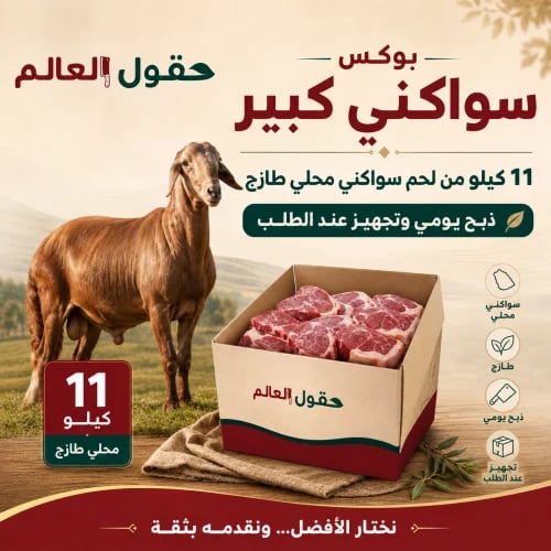 بوكس كبير سواكني محلي