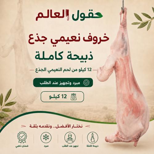 Naemi sheep carcass weight 12 kg - complete sacrif...