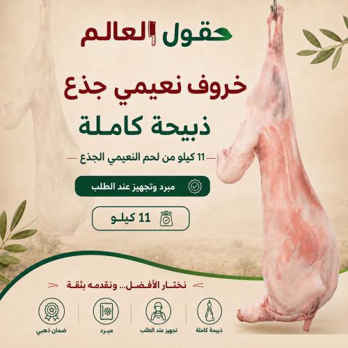 Naemi sheep carcass weight 11 kg - complete sacrif...