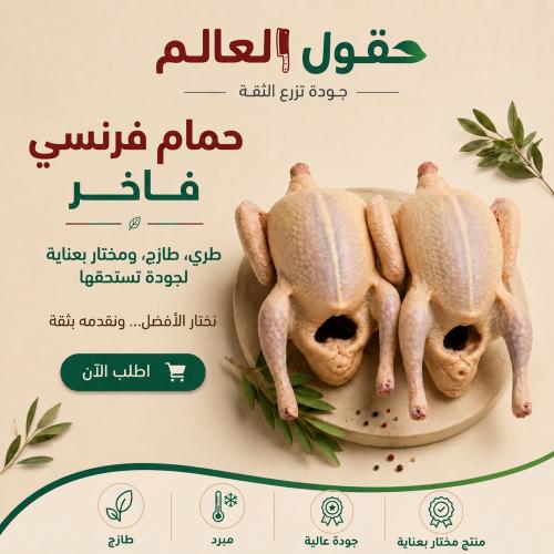 حمام فرنسي فاخر