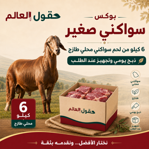 بوكس صغير سواكني محلي