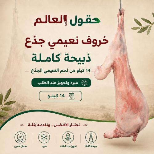 Naemi sheep carcass weight 14 kg - a complete sacrifice