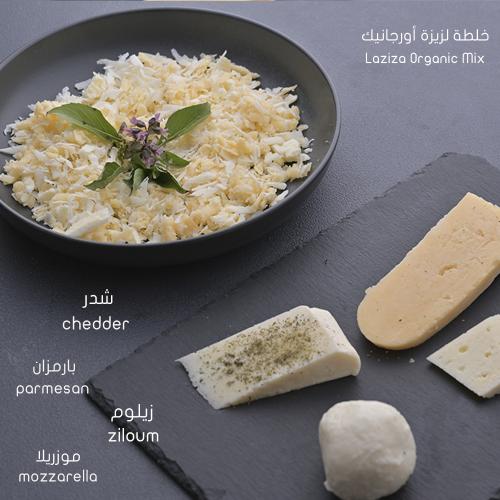 خلطة لزيزة للبيتزا والمعجنات