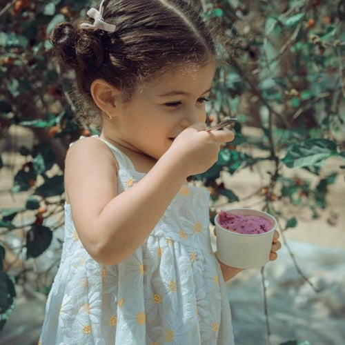 جيلاتو التوت بحليب الماعز والسكر العضوي