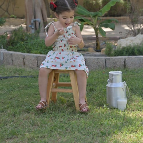 البوظة العربية بالفستق بحليب الماعز والسكر العضوي