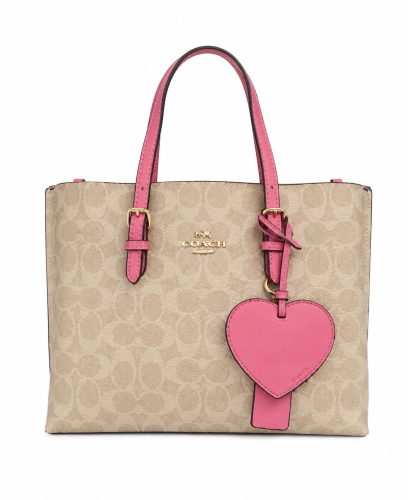 Coach Mollie Bag
