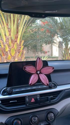 Car pendant, permanent roses