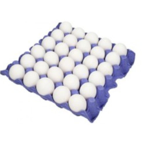 بيض مقاس وسط