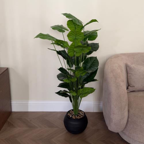 شجر ورق قلب مع مركن