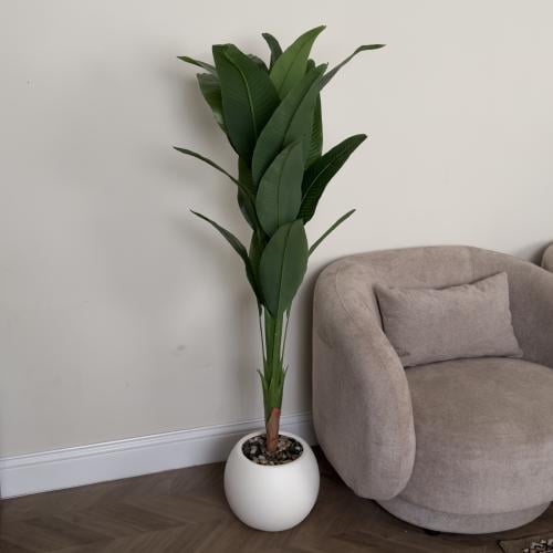 شجر عصفور الجنة مع مركن