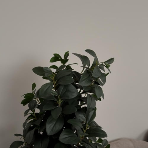 شجر ليمون ملمس طبيعي كثيف مع مركن