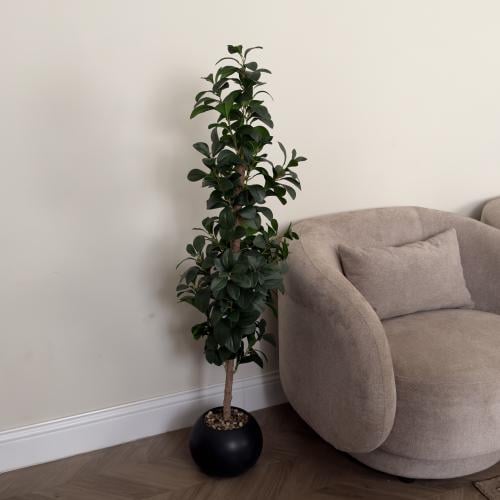 شجر ليمون وسط ملمس طبيعي كثيف