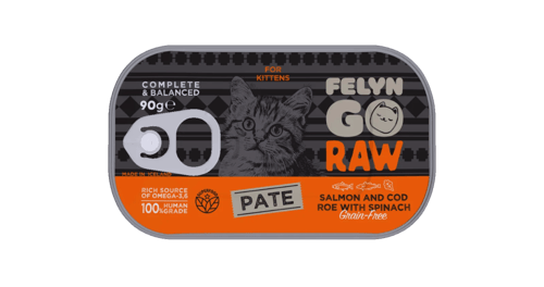 معلبات فيلين جو بنكهات متعددة 90G