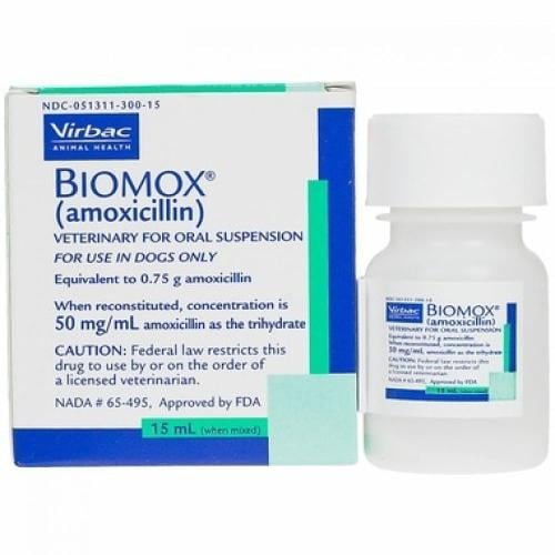 biomox مضاد حيوي للقطط 50G
