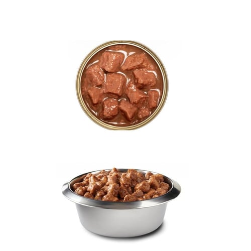معلبات بت كول 405G متعددة النكهات
