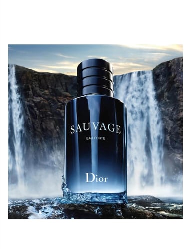 سوفاج أو فورت