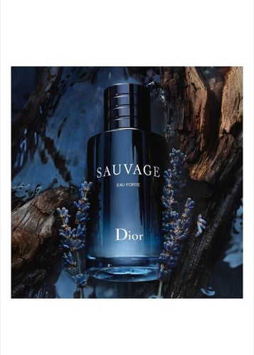 سوفاج أو فورت