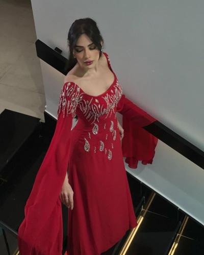 فستان صدر مطرز كم طويل /Mair Fashion