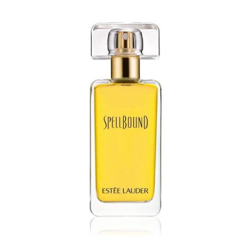 Estée Lauder Stay All Day Bond