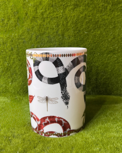 Serpent - جار أبيض