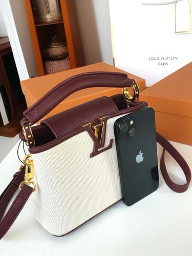 شنط لويس فيتون