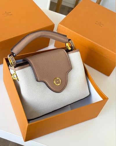 شنطه لويس فيتون