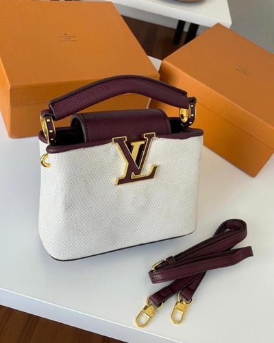 شنطه لويس فيتون