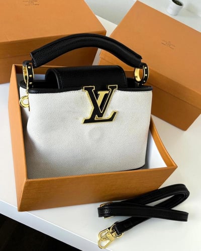 شنطه لويس فيتون