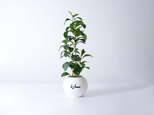 Artificial plant with name writing