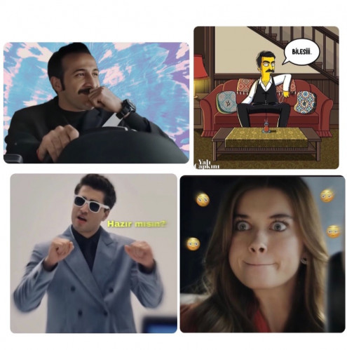 ستيكر الطائر الرفراف4 قطع