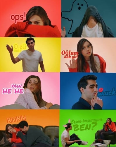 بوستر طائر الرفراف