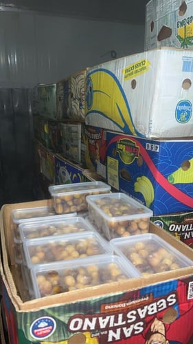 كرتون رطب روثانة الفرع داخل الكرتون 20 علبة