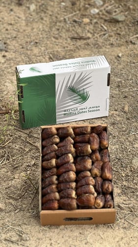 برني العيص جلكسي درجة اولى k2