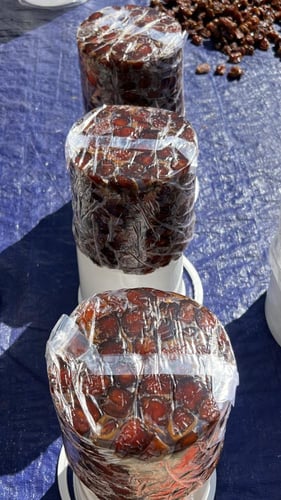 كعيمر العيص رقم ١ فاخر 4-k6