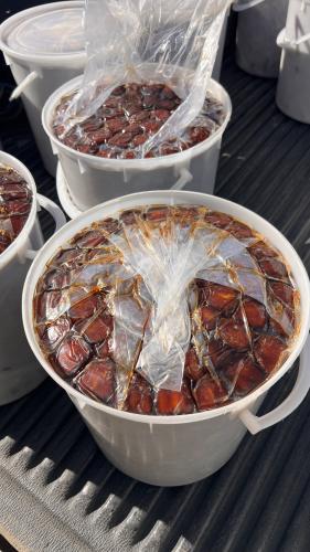 كعيمر العيص رقم ١ فاخر سطل كبير 13-K15