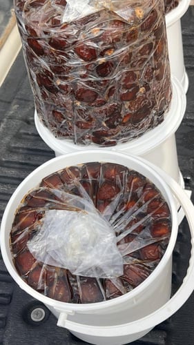 كعيمر العيص رقم ١ فاخر 4-k6