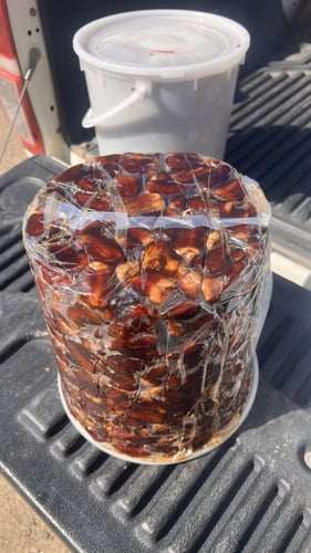 برني العيص مكنوز فاخر عبوة كبيرة رقم 1 13-15k