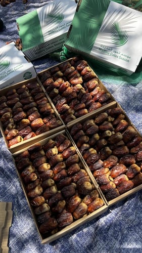 برني العيص جلكسي درجة اولى k2