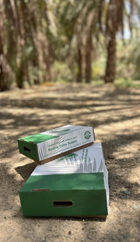 برني العيص درجة ثانية فاخر -4k