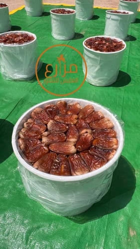 برني العيص مكنوز رقم 1 فاخر 4 - 6 k