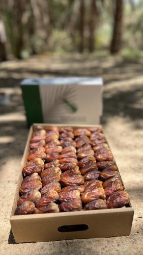 برني العيص جلكسي درجة اولى فاخر- 4 k