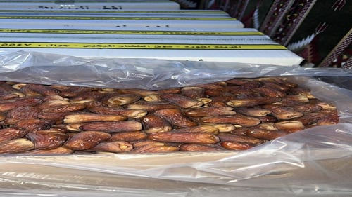 كرتون كبير برني رقم 1 فاخر k15-18