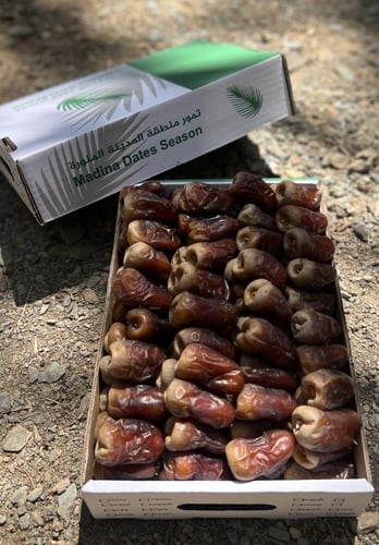 برني العيص جلكسي درجة اولى k2