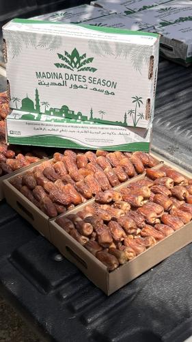 برني العيص جلكسي درجة اولى k2