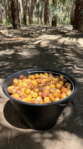 روثانة العيص - وزن 900 جم - k1