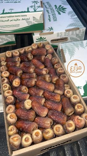 برني العيص (جالكسي) درجة اولى 2 K