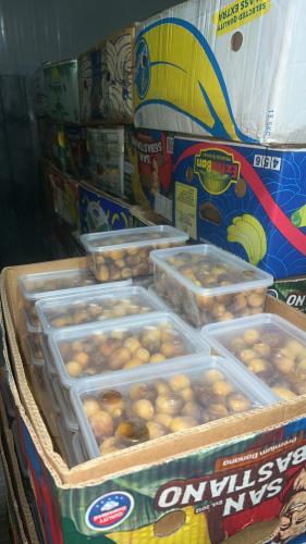 كرتون رطب روثانة الفرع داخل الكرتون 20 علبة