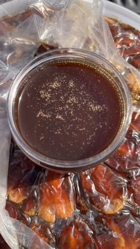 عسل طبيعي عضوي 100٪ - نص كيلو