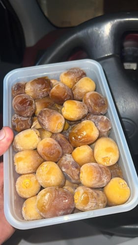 كرتون رطب روثانة الفرع داخل الكرتون 20 علبة